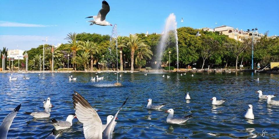 Torrevieja Experience Mar 2 Lejlighed Eksteriør billede